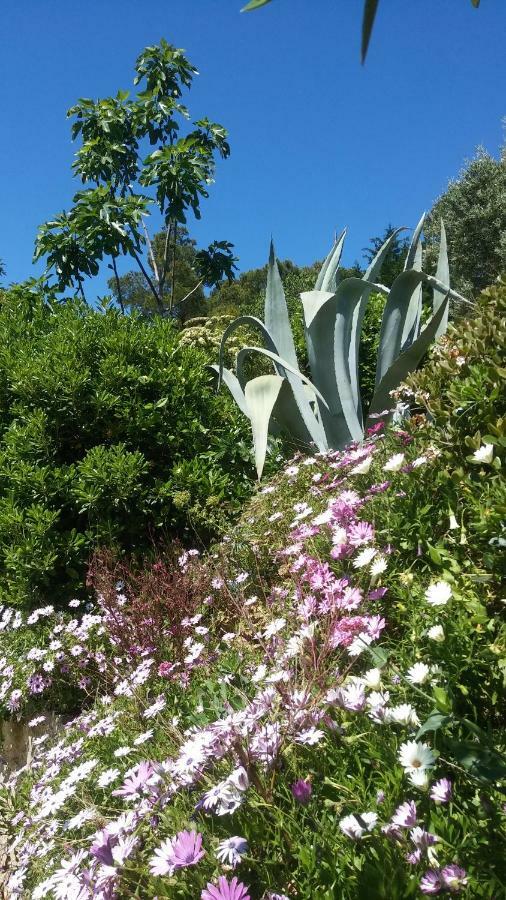נרבון Villa Le Clos Fleuri מראה חיצוני תמונה