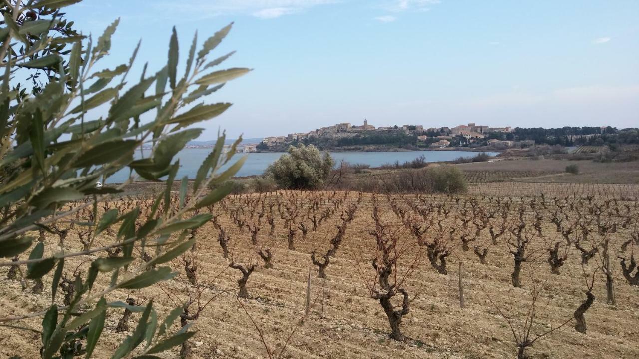 נרבון Villa Le Clos Fleuri מראה חיצוני תמונה